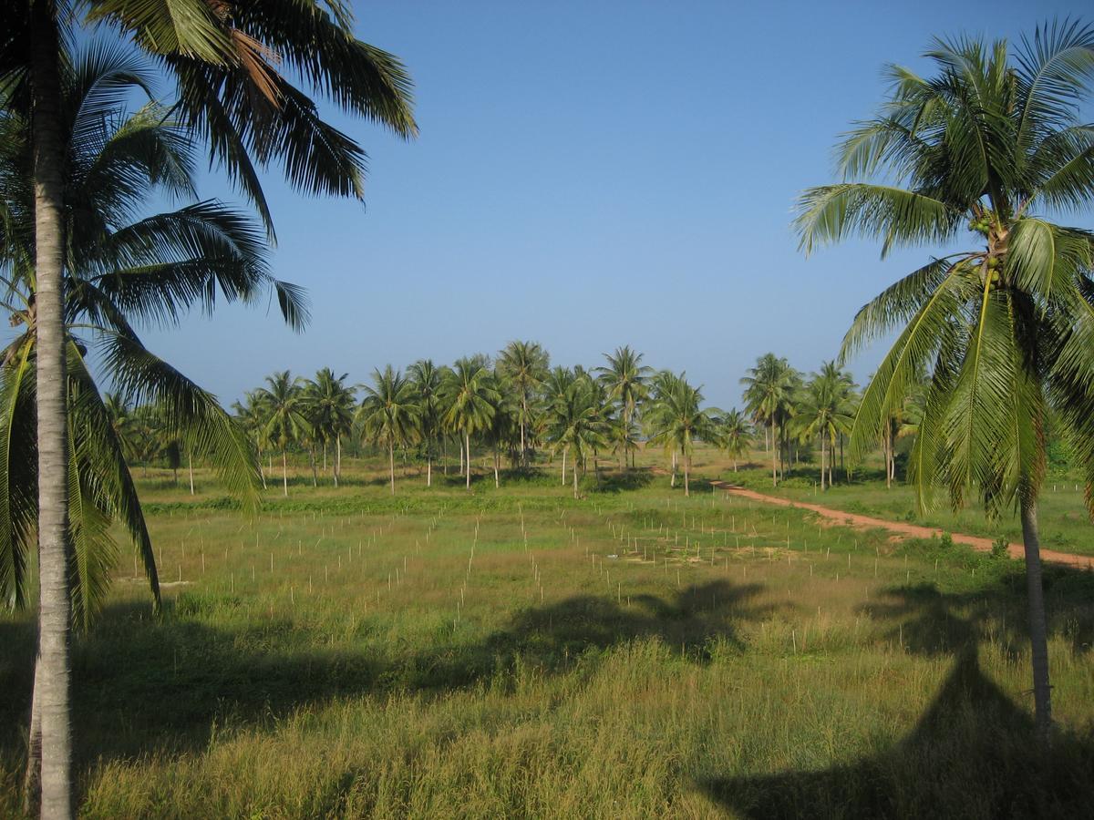 Lake View Bungalows Khao Lak Exterior foto